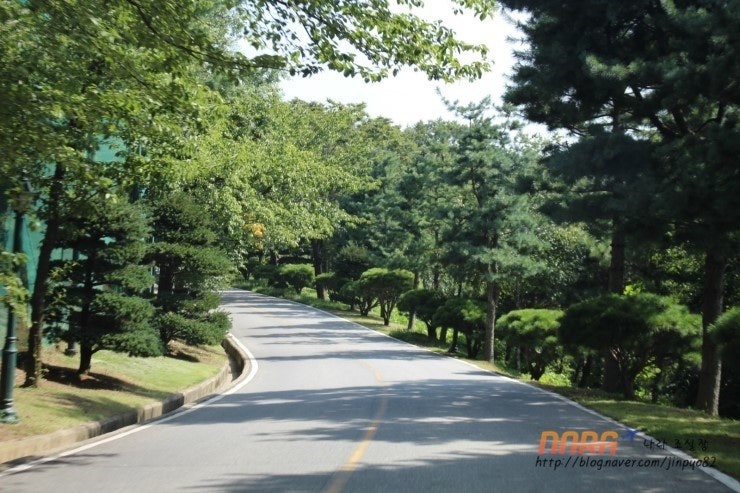 라비돌 리조트 착한 가성비 원문 사진 5