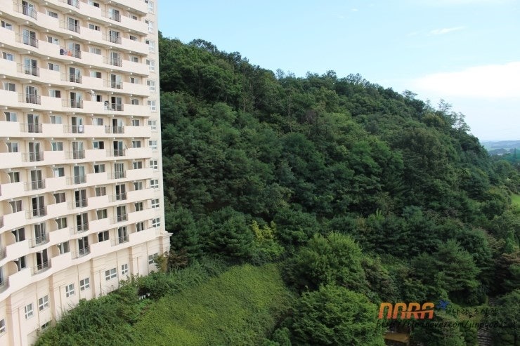 라비돌 리조트 착한 가성비 원문 사진 28