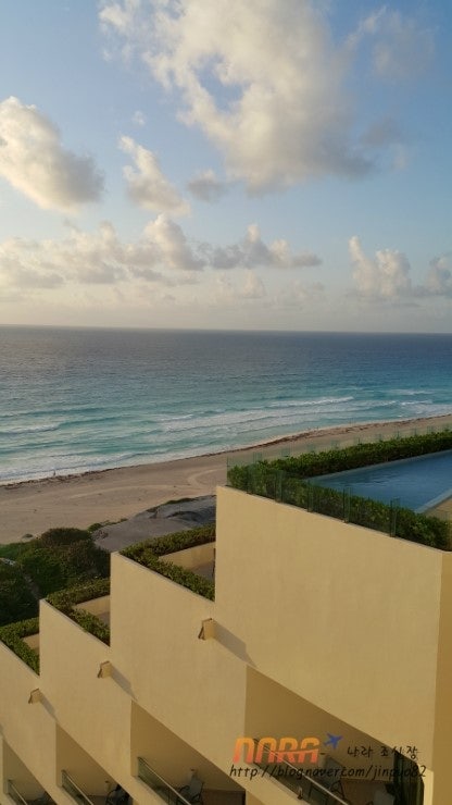 칸쿤 라이브아쿠아 (cancun liveaqua) 원문 사진 15