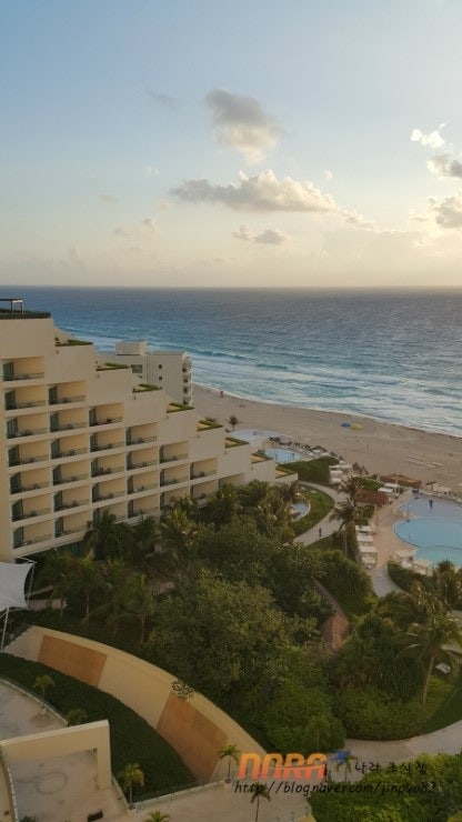 칸쿤 라이브아쿠아 (cancun liveaqua) 원문 사진 16