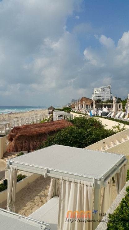 칸쿤 라이브아쿠아 (cancun liveaqua) 원문 사진 19