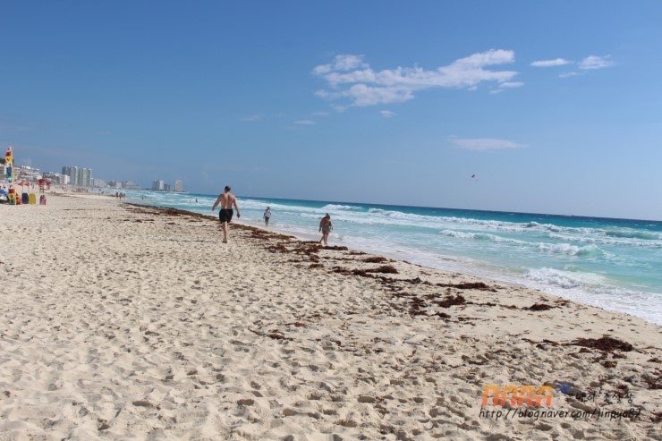 칸쿤 라이브아쿠아 (cancun liveaqua) 원문 사진 26