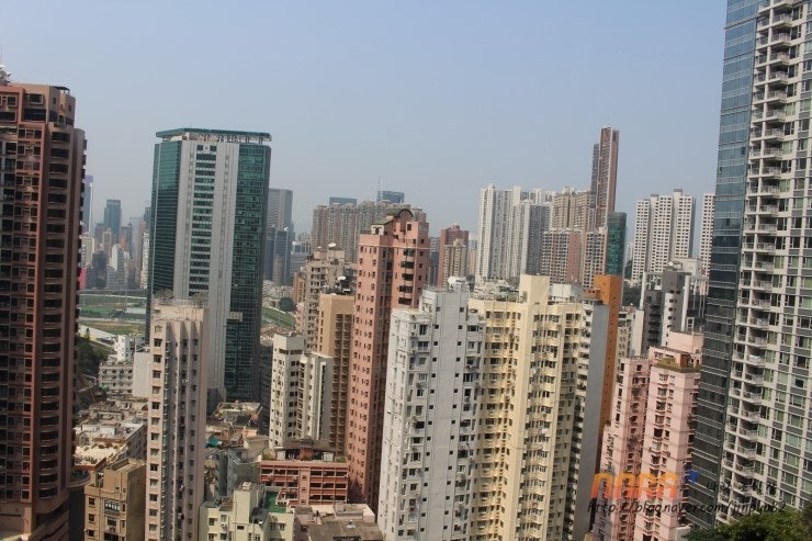 홍콩 스탠리 마켓 원문 사진 13