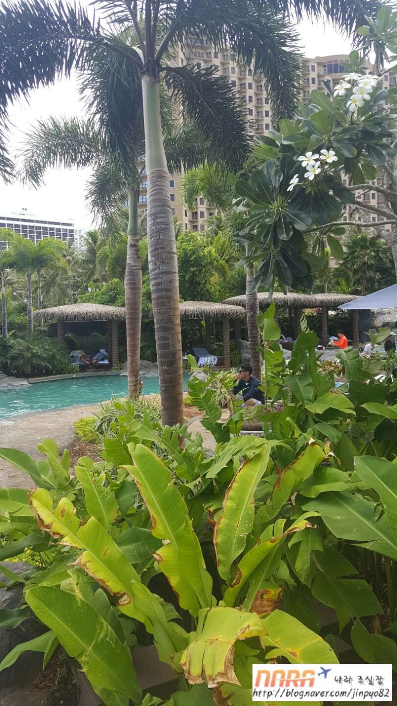 두짓타니 Dusit Thani 괌 리조트호텔 수영장 원문 사진 15