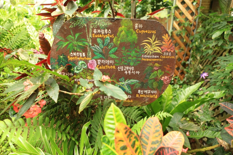 국내 여행지 추천 평창 가볼 만한 곳 흥정계곡 허브나라농원 나라 투어 원문 사진 27