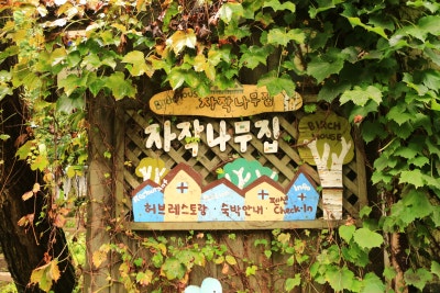 국내 여행지 추천 평창 가볼 만한 곳 흥정계곡 허브나라농원 나라 투어 원문 사진 36